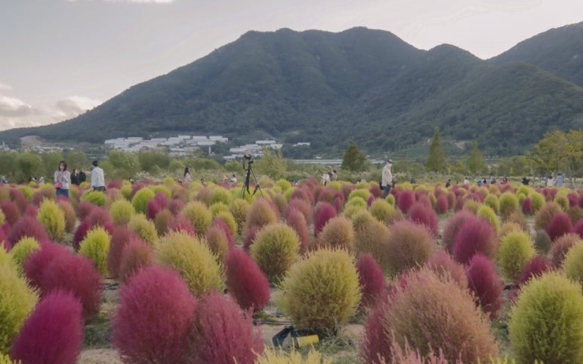 황산공원의 강변과 초록 풍경